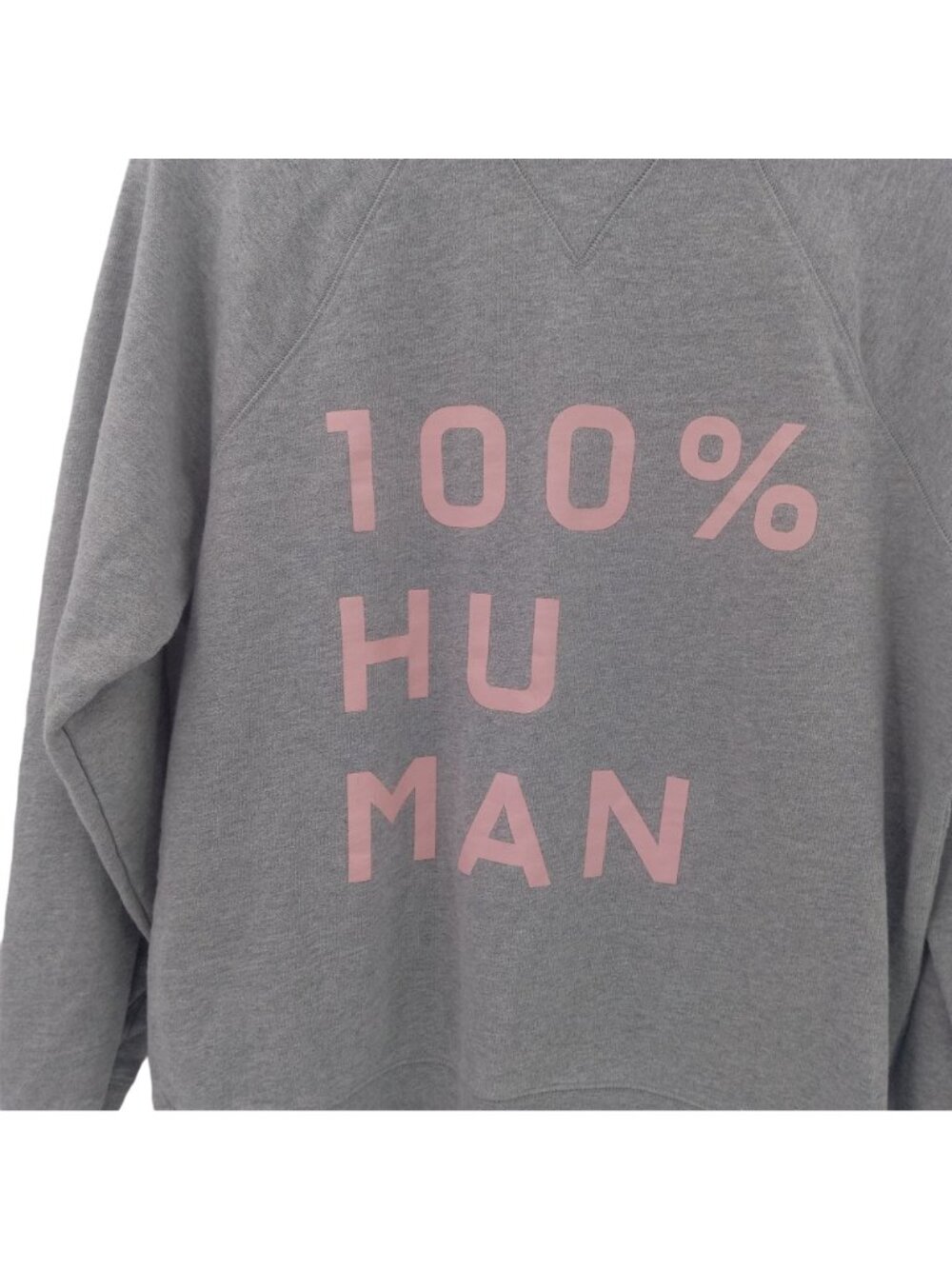 Everlane Women 100% Human Typography Hoodie Gray Sweatshirt  L French Terry 2017 - Picture 2 of 6